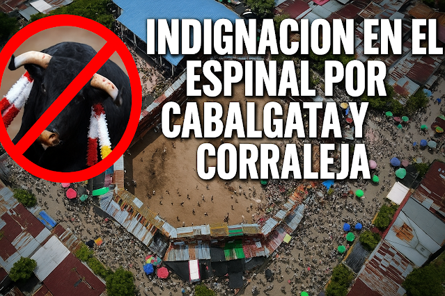 Indignación por autorización de corraleja y cabalgata en El Espinal, Tolima